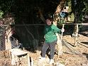 DSCN0677