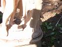 DSCN0699